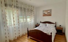 Apartament Sunshine